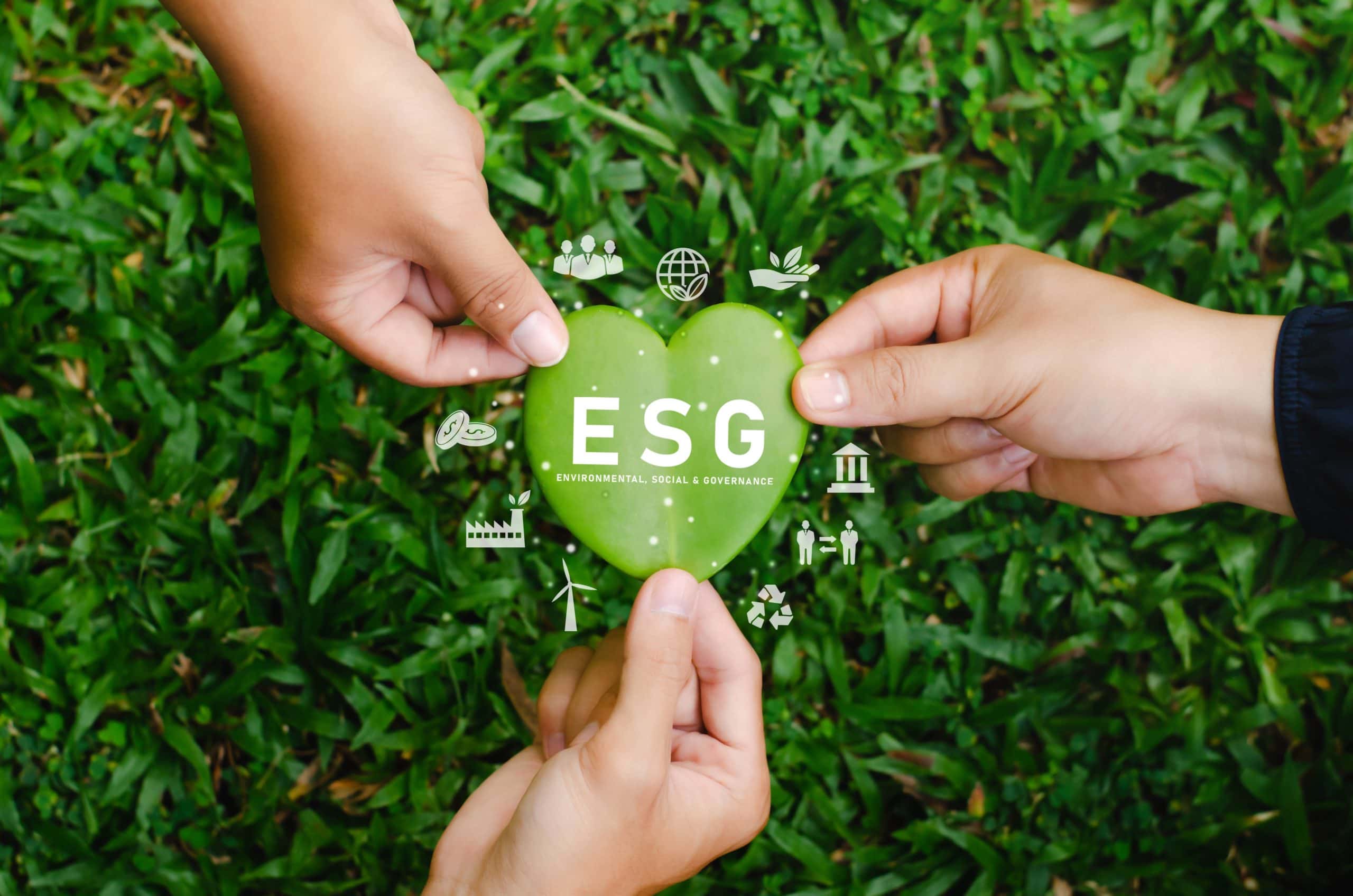 IWG Publishes First Sustainability Report! IWG Publishes First Sustainability Report!